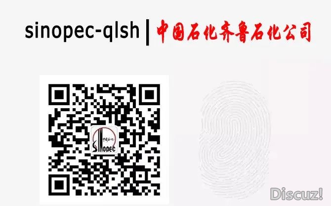 DeepSeek眼中的石化装置,诗意谦谦~w33.jpg