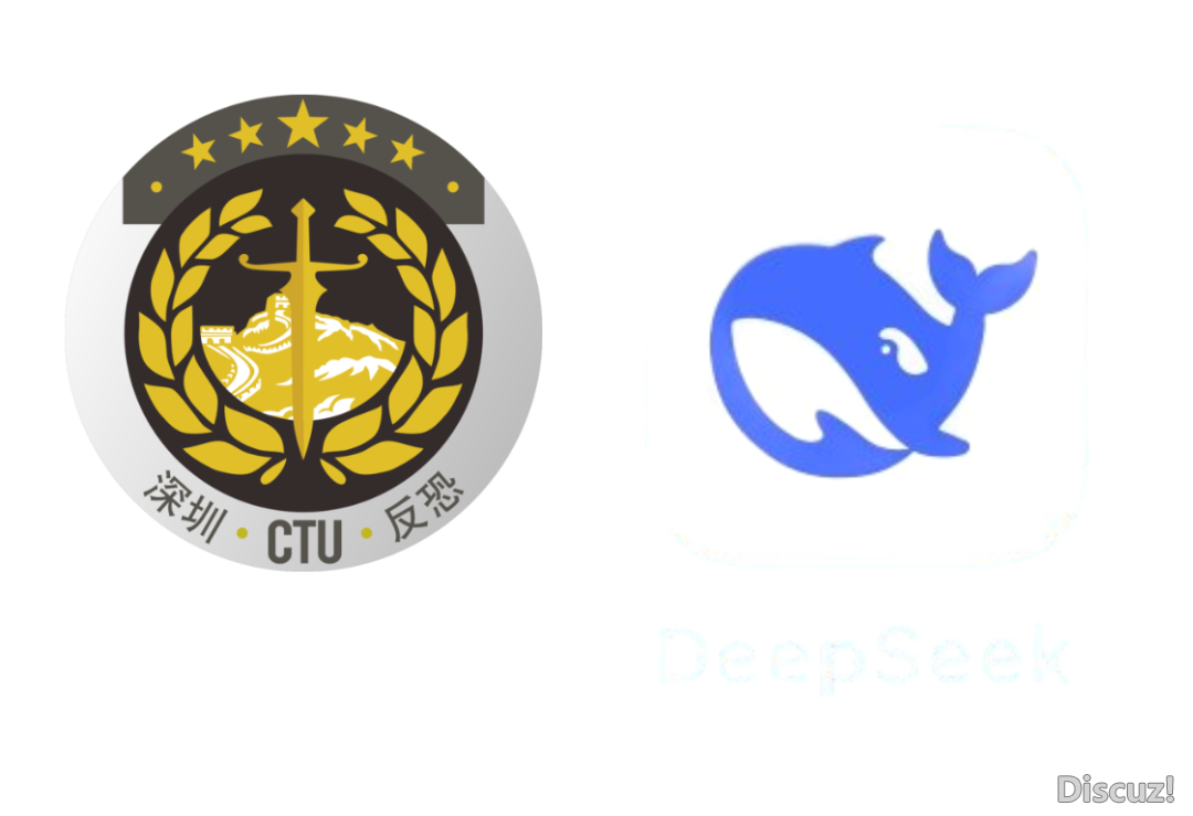 取Deepseek“聊”反恐(两)w3.jpg