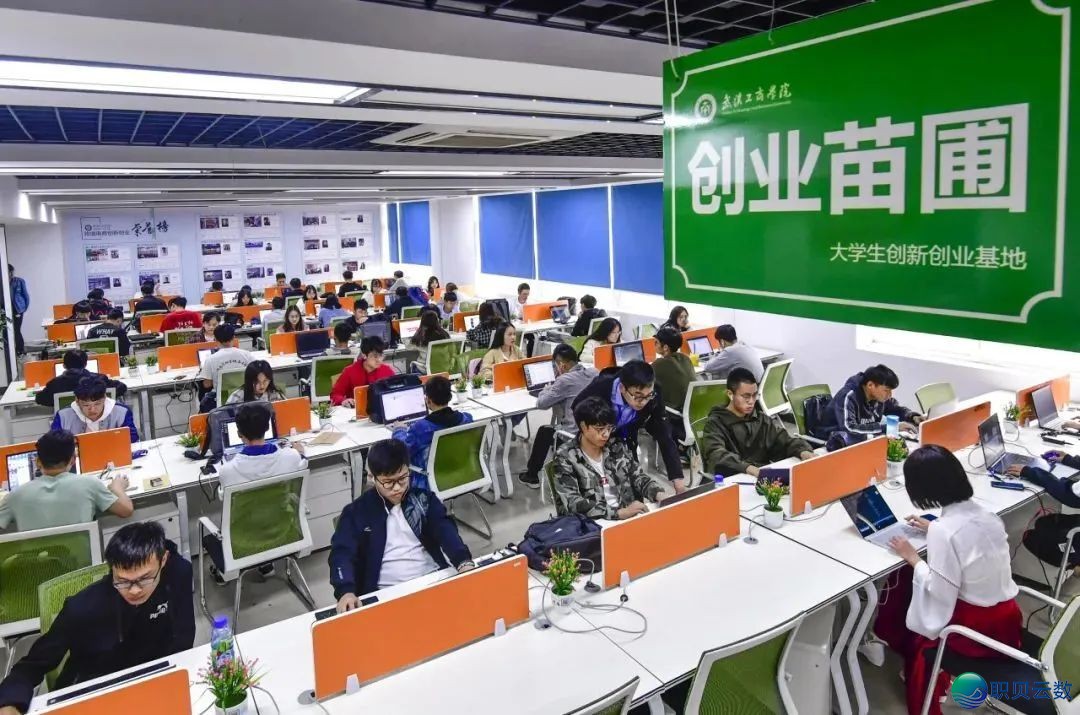 C217!DeepSeek的挑选w83.jpg