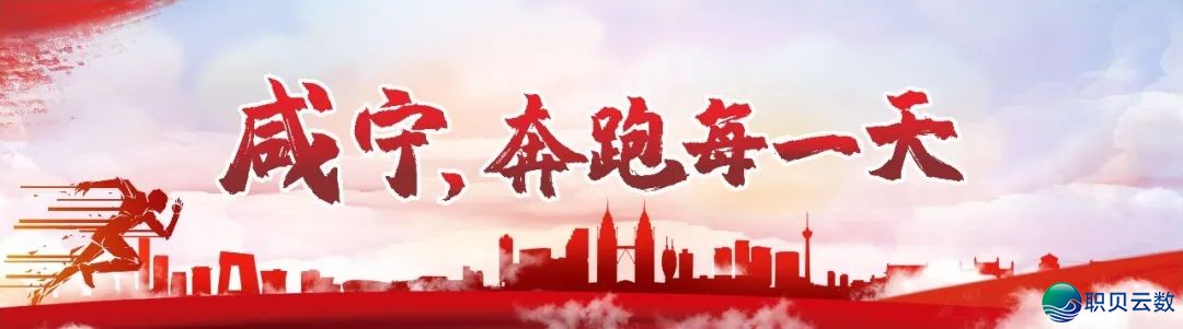 交进DeepSeek!咸宁政务效劳智能化已经上线w2.jpg