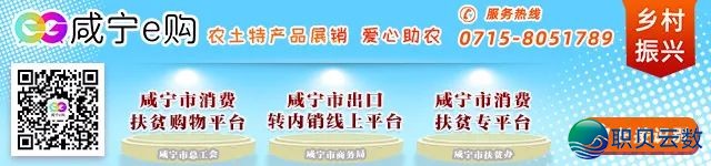 交进DeepSeek!咸宁政务效劳智能化已经上线w6.jpg