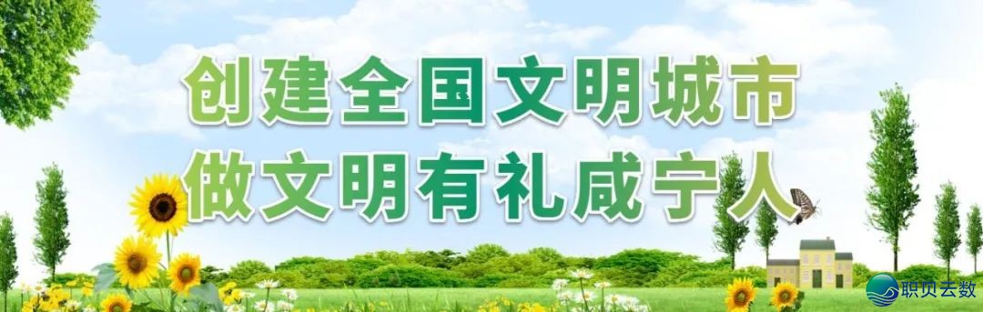 交进DeepSeek!咸宁政务效劳智能化已经上线w5.jpg