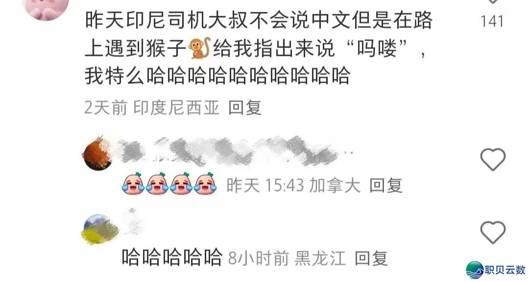 “Deep Seek 要成粗了吗?”哈哈哈哈哈哈谁学它这样道的?w7.jpg