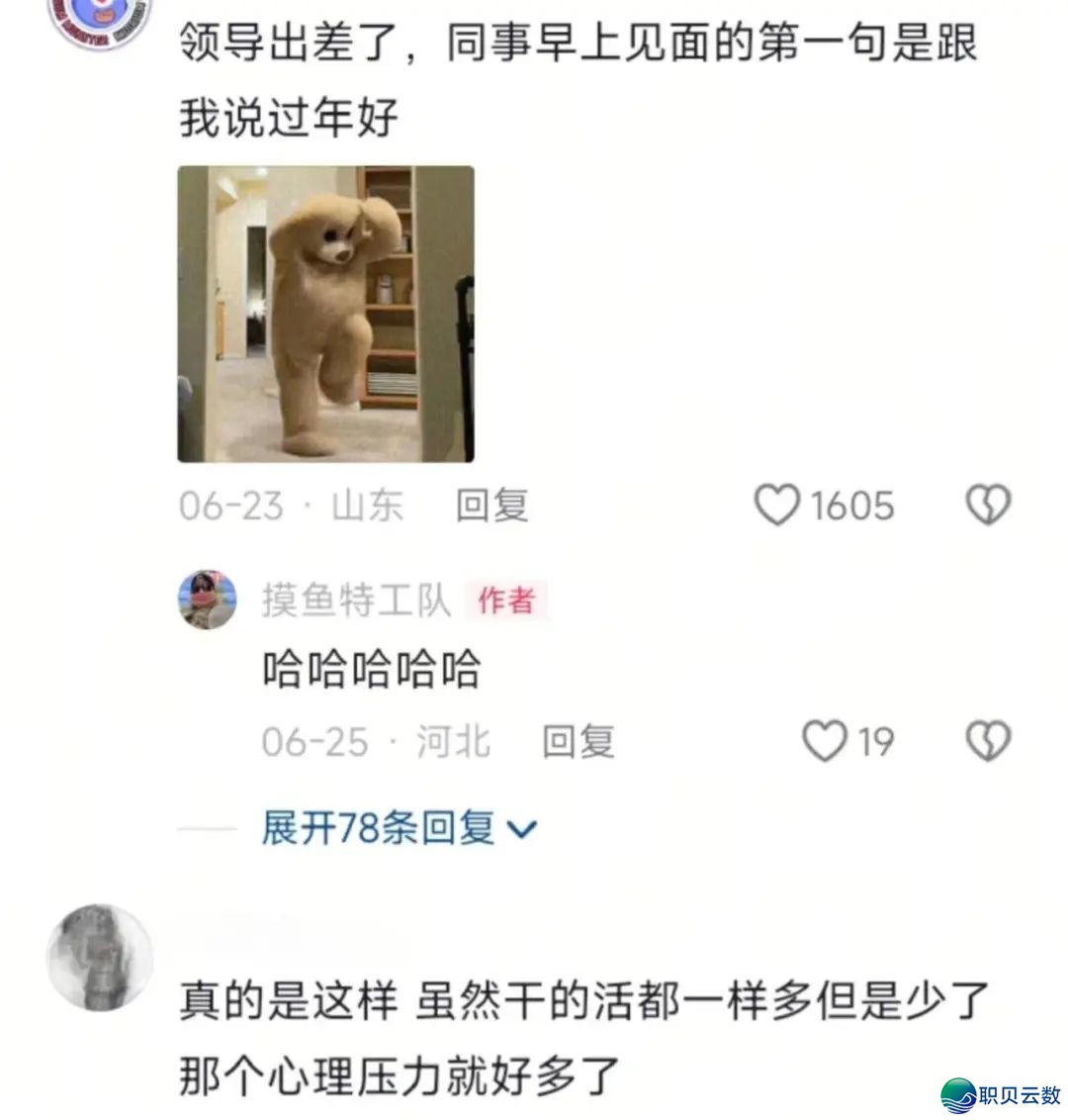 “Deep Seek 要成粗了吗?”哈哈哈哈哈哈谁学它这样道的?w10.jpg