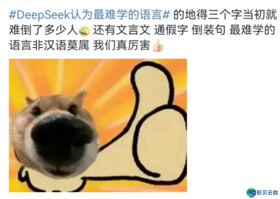 语言趣道 | DeepSeek评“最易教语言”,网友:绝不意外是它……w4.jpg
