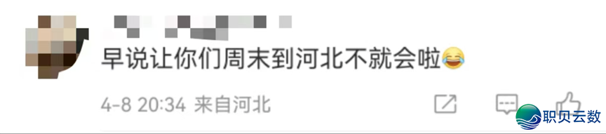 语言趣道 | DeepSeek评“最易教语言”,网友:绝不意外是它……w6.jpg