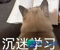 语言趣道 | DeepSeek评“最易教语言”,网友:绝不意外是它……w16.jpg