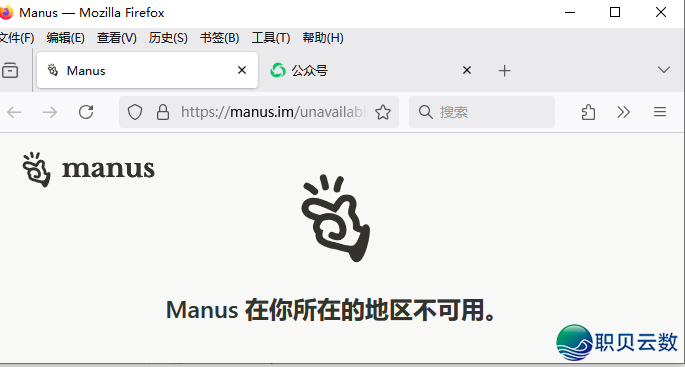 AI巨无霸Manus,继Google后第两野主动分隔华夏的科技公司w2.jpg