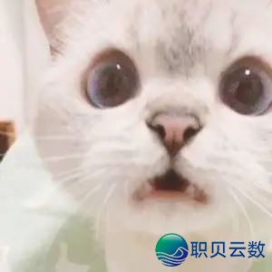 拭剑宝箱保底反复?下周一就改!