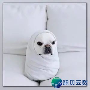拭剑宝箱保底反复?下周一就改!