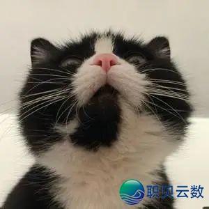 拭剑宝箱保底反复?下周一就改!