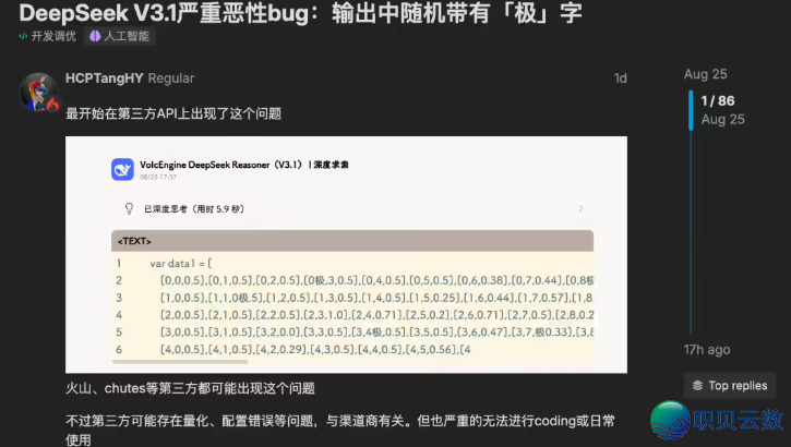 DeepSeek V3.1输出  成果跳出“极”字 bug,民间回应了w2.jpg