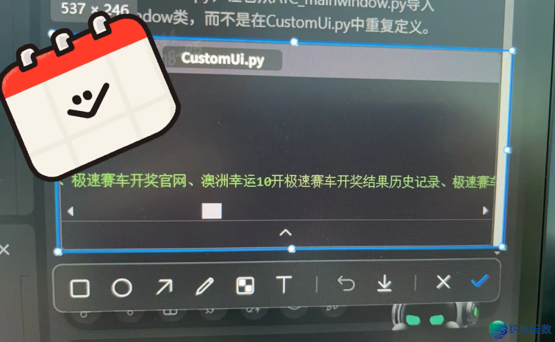 DeepSeek V3.1输出  成果跳出“极”字 bug,民间回应了w5.jpg