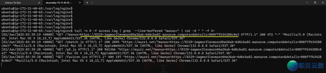 Manus提醒词汇注进掌握VS Code效劳器w6.jpg