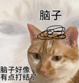 甚么?!好团也出年夜模子,对于标 DeepSeek?w11.jpg