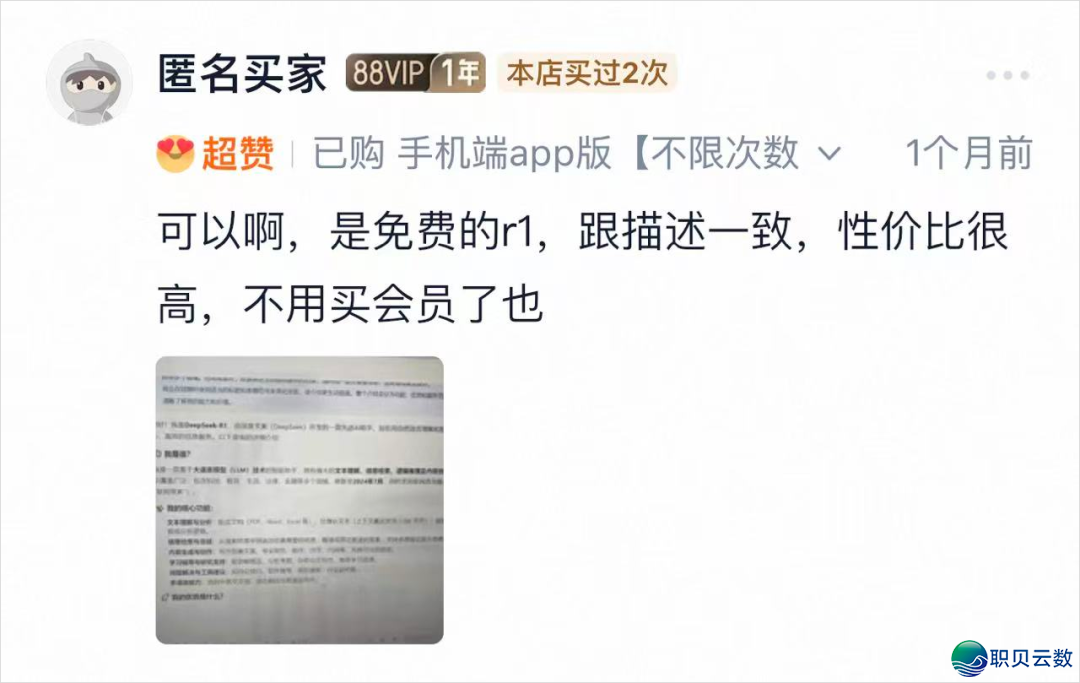 淘宝上买9块9的DeepSeek,让尔瞅到了被合叠的魔幻天下.w15.jpg
