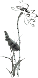 001825dyeazxpu9m6nylxc