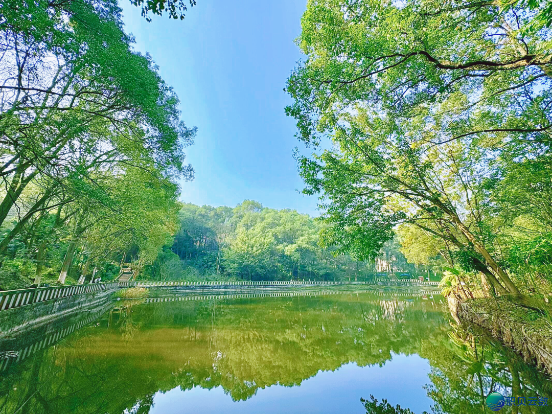 国庆假日正在沉庆乡科——用Deepseek启开尔的进修之旅w37.jpg