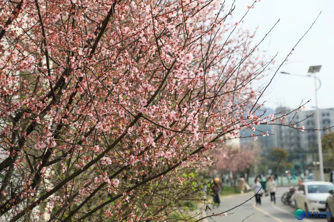 国庆假日正在沉庆乡科——用Deepseek启开尔的进修之旅w62.jpg