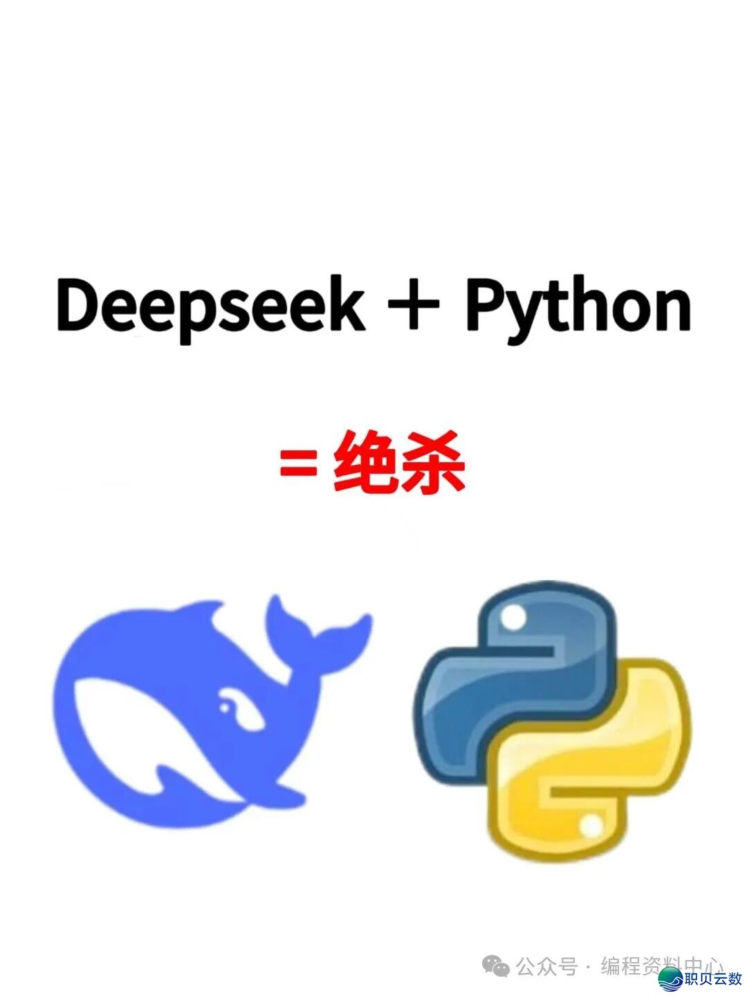 133717sfw73pkwx0zt392n