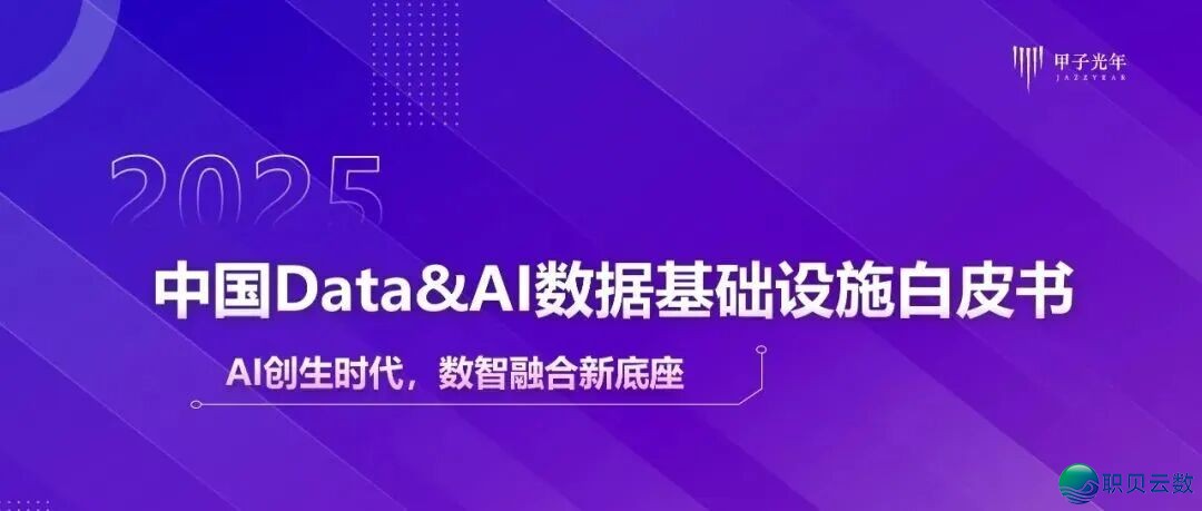 [AI+人力资本]薪酬事情DeepSeek提醒词汇 [文终获得残破PDF]w14.jpg