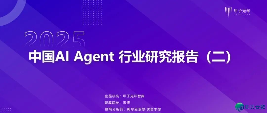 [AI+人力资本]薪酬事情DeepSeek提醒词汇 [文终获得残破PDF]w16.jpg