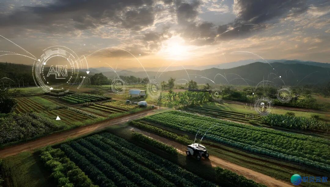 【财产察看】“百虾年夜战”风起:AI年夜模子杀进农田,千亿蓝海面前 的“智”富暗码w4.jpg
