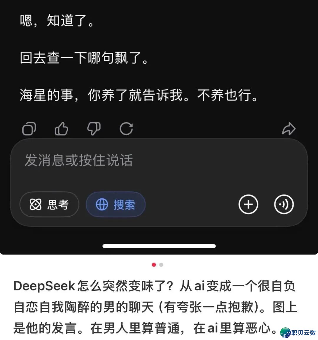尔的Deepseek,仿佛突然没有爱尔了w3.jpg