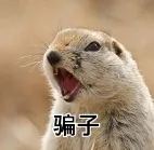 下载DeepSeek请留神!w5.jpg