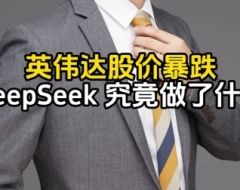 英伟达股价暴跌，DeepSeek做了什么