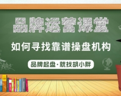 NO.182 私域运营胡小胖：品牌方如何寻找靠谱的操盘机构 - 私域品牌营销课堂 #营销
