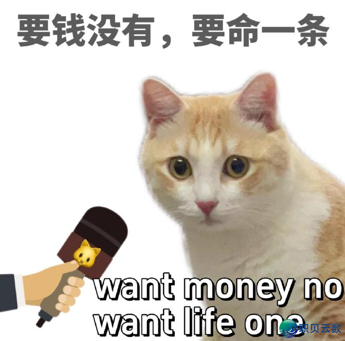 马斯克来“旅游”了,光伏也喜提一日游