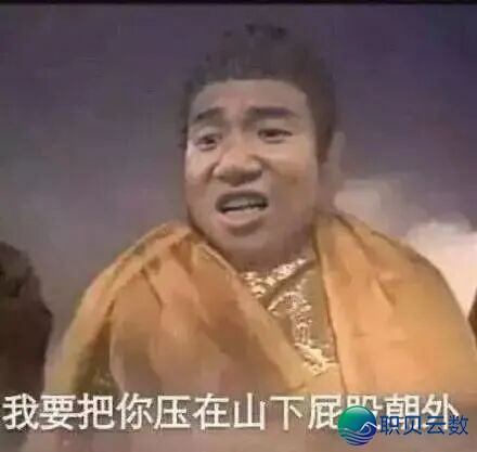 马斯克来“旅游”了,光伏也喜提一日游