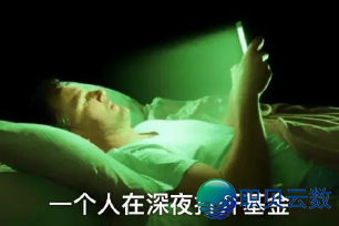 马斯克来“旅游”了,光伏也喜提一日游