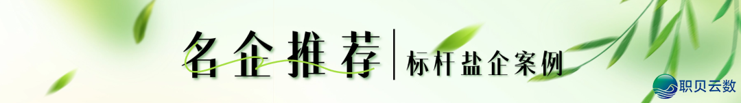 雷军盐城之行:一粒盐,为什么能走进汽车工业深处?