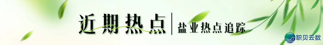 雷军盐城之行:一粒盐,为什么能走进汽车工业深处?