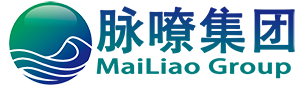 脉嘹集团Logo