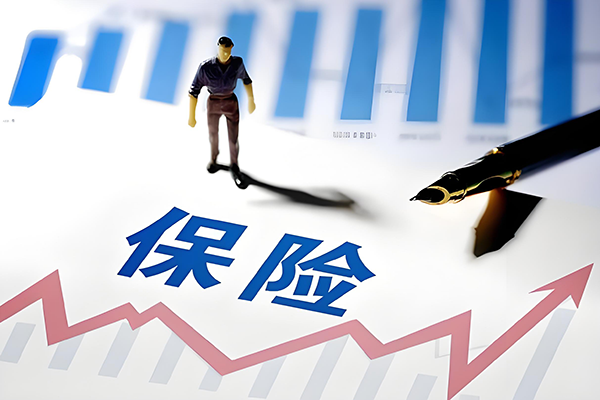 保险公司案例