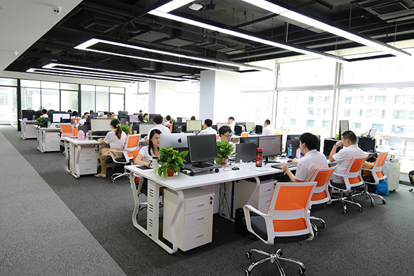 某科技公司人才定制案例