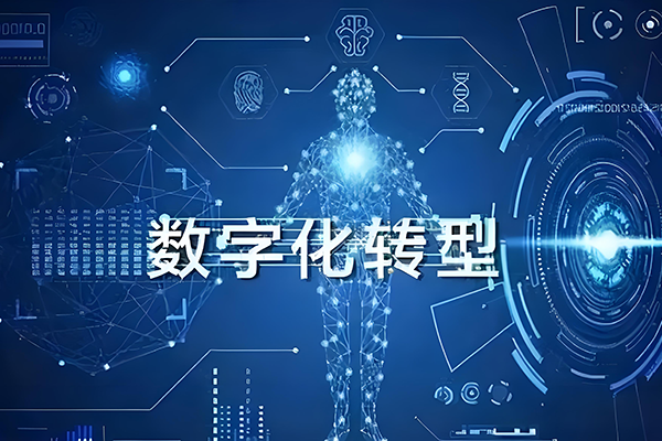 企业数字化转型实战